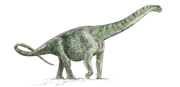 Argentinosaurus hinculensis