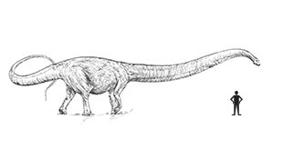 Mamenchisaurus